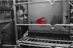 Le Poisson Rouge, La Barre-de-Monts - Horaires d'ouverture