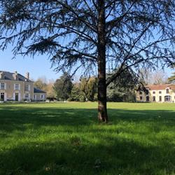 Manoir le Mingreaud, salle de réception, chambres , gîtes, spa, Sainte-Gemme-la-Plaine - Horaires d'ouverture