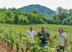 Vignoble PELLERIN, Saint-Sorlin-en-Bugey - Horaires d'ouverture