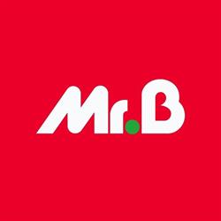 Mr.Bricolage Saint-Avold, - Horaires d'ouverture