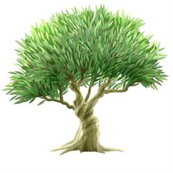L'eternita Pompes Funèbres, Prunelli-di-Fiumorbo - Horaires d'ouverture