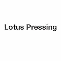 Lotus Pressing, Vannes - Horaires d'ouverture