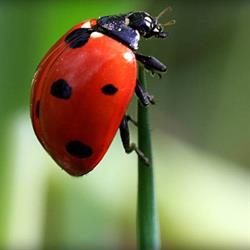 Mon Jardin Au Naturel, Montilly - Horaires d'ouverture