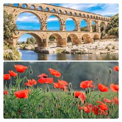 Elora Tours Provence, Avignon - Horaires d'ouverture