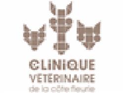 Clinique Vétérinaire De La Côte Fleurie, Bonneville-sur-Touques - Horaires d'ouverture