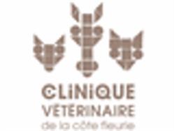 Clinique Vétérinaire De La Côte Fleurie, Bonneville-sur-Touques - Horaires d'ouverture