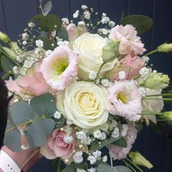 Floralys, Tourcoing - Horaires d'ouverture