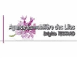 Agence Immobilière Des Lilas, Gien - Horaires d'ouverture