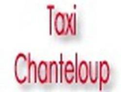 Taxi Chanteloup, Saint-Thibault-des-Vignes - Horaires d'ouverture