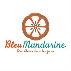 Bleu Mandarine, Dax - Horaires d'ouverture