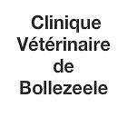 Clinique Vétérinaire du Docteur Pamphile Kouman, Bollezeele - Horaires d'ouverture