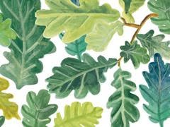Astrid MISEREY, Agen - Horaires d'ouverture