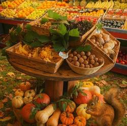 L'Epicerie Quintinaise, - Horaires d'ouverture