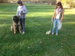 Angoulème Education Canine, Dirac - Horaires d'ouverture