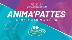 Anima 'Pattes, Le Garric - Horaires d'ouverture