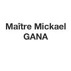 Gana Mickael, Vierzon - Horaires d'ouverture