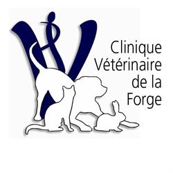 Clinique Vétérinaire, Saint-Gilles - Horaires d'ouverture