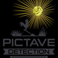 PICTAVE DETECTION ROYAN, Cozes - Horaires d'ouverture