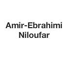 Amir-Ebrahimi Niloufar, Montpellier - Horaires d'ouverture