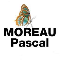 Moreau Pascal, Soulangis - Horaires d'ouverture