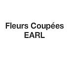 Fleurs Coupées EARL, Étoile-sur-Rhône - Horaires d'ouverture