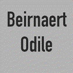 Beirnaert Odile, Wimille - Horaires d'ouverture