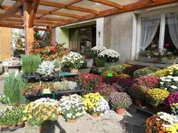 La Grange Aux Fleurs, Val-de-Meuse - Horaires d'ouverture