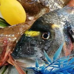 Poissonnerie Beluga, Cannes - Horaires d'ouverture