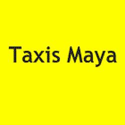 Taxis Maya, Saint-Pierre-des-Corps - Horaires d'ouverture