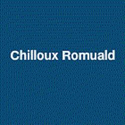 Chilloux Romuald SASU, Sainte-Montaine - Horaires d'ouverture