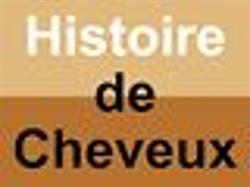 Histoire De Cheveux, Villefranche-sur-Saône - Horaires d'ouverture