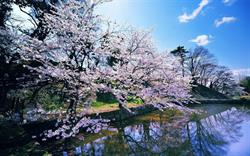 De Fleurs en Fleurs, Hagondange - Horaires d'ouverture