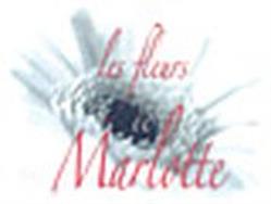 Les Fleurs De Marlotte, Caveirac - Horaires d'ouverture