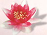Galactee Institut, Boulogne-Billancourt - Horaires d'ouverture