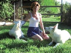 Centre Canin Et Félin Jorel, Oinville-sur-Montcient - Horaires d'ouverture
