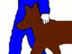 Allo Dressage Service, Herblay - Horaires d'ouverture