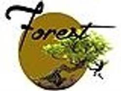 FOREST, Saint-Orens-de-Gameville - Horaires d'ouverture