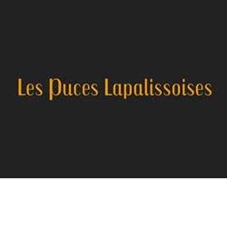 Les Puces Lapalissoises, Lapalisse - Horaires d'ouverture