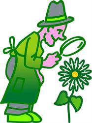 Horticulture Vernet Ver Fleurs Vente en Gros, Saint-Jean-Bonnefonds - Horaires d'ouverture