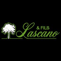 Lascano Et Fils, Bidart - Horaires d'ouverture