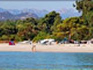 Camping Les Eucalyptus, Solaro - Horaires d'ouverture