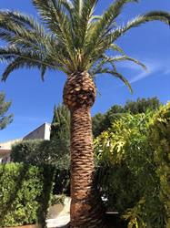 Marc Jardin, Bandol - Horaires d'ouverture