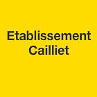 Etablissements Cailliet, Lille - Horaires d'ouverture