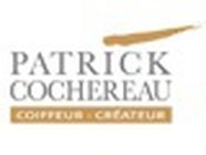 Patrick Cochereau, Saint-Martin-des-Champs - Horaires d'ouverture