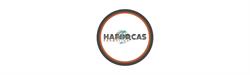 Haforcas Formation, Saint-Pierre-des-Corps - Horaires d'ouverture