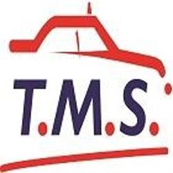 T.M.S Taxi Métrologie Service, L'Haÿ-les-Roses - Horaires d'ouverture