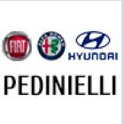 Hyundai Pedinielli Concessionnaire, Manosque - Horaires d'ouverture