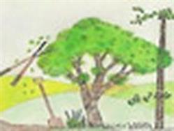 Les Horizons Verts, Ribeauvillé - Horaires d'ouverture