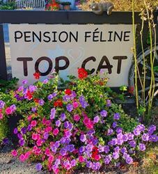 Pension Féline TOP CAT, Fillière - Horaires d'ouverture