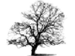 Arbres et Jardins, Gesnes-le-Gandelin - Horaires d'ouverture